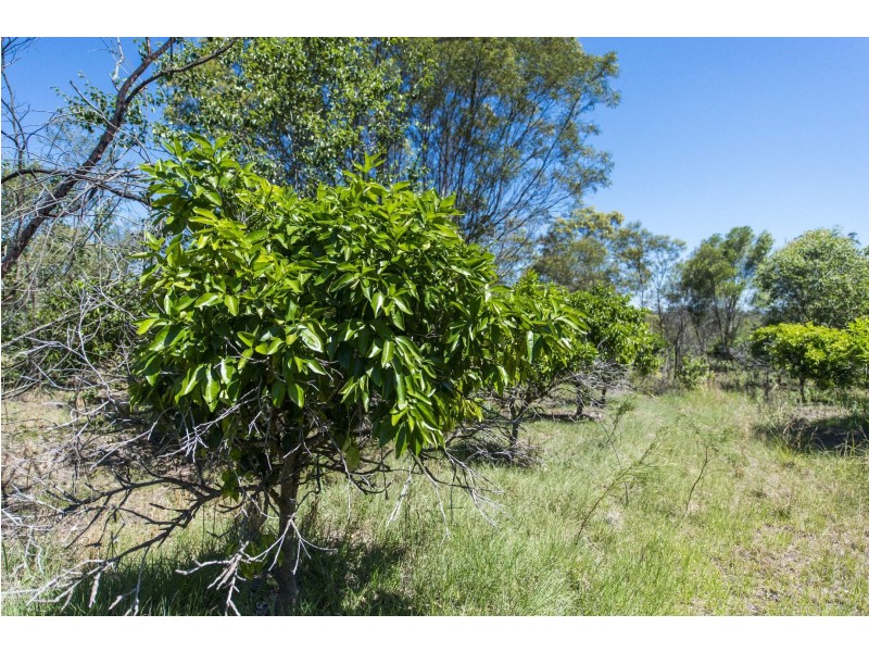 89 West Lanitza Road, Lanitza NSW 2460