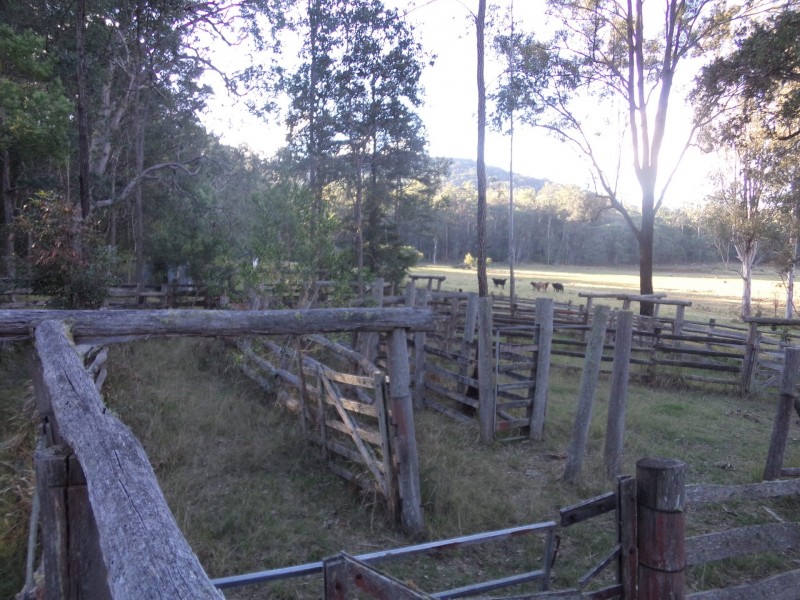 Lot 52 Upper Fine Flower Road, Upper Fine Flower NSW 2460