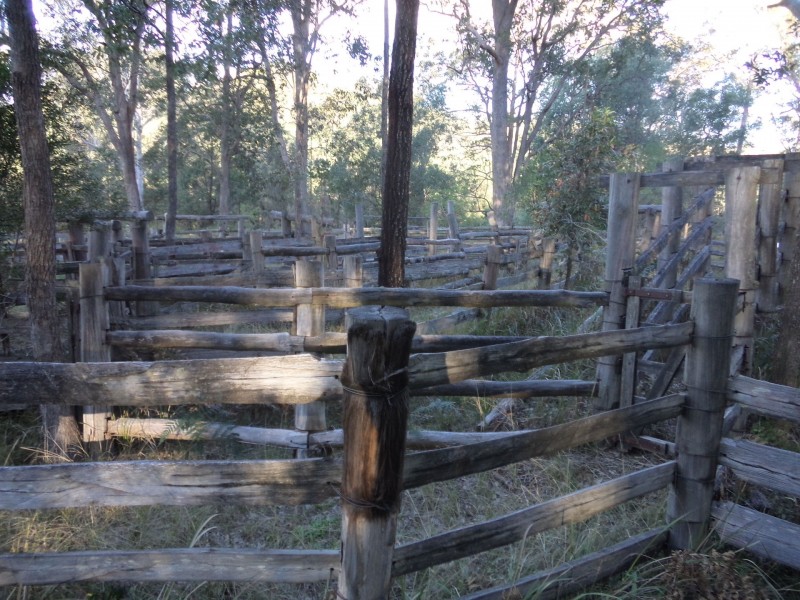 Lot 52 Upper Fine Flower Road, Upper Fine Flower NSW 2460