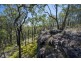 767 COALDALE ROAD, Fortis Creek NSW 2460