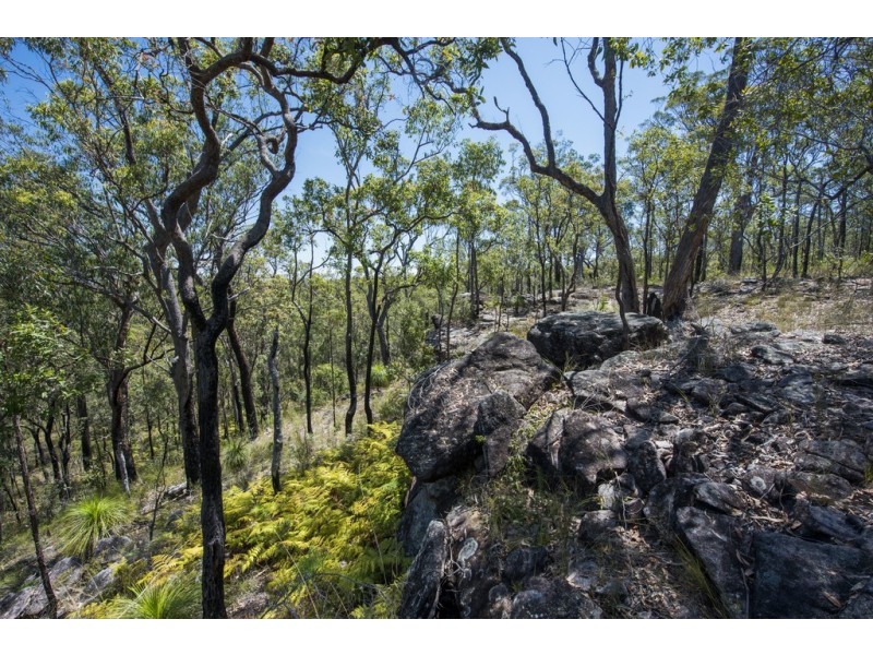 767 COALDALE ROAD, Fortis Creek NSW 2460