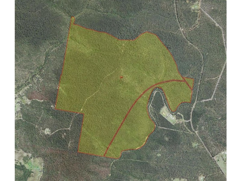 767 COALDALE ROAD, Fortis Creek NSW 2460