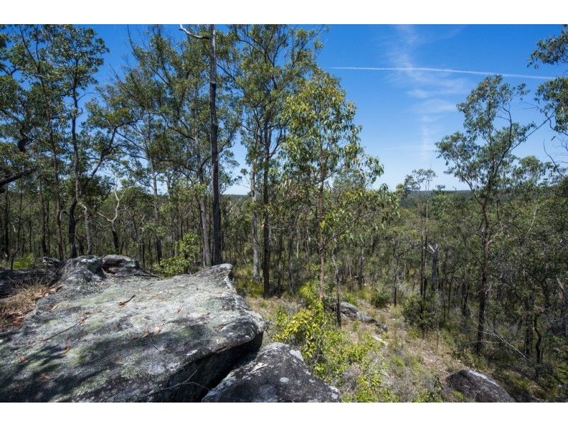 767 COALDALE ROAD, Fortis Creek NSW 2460