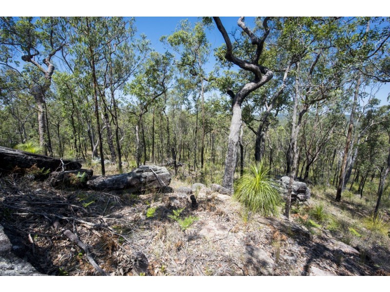 767 COALDALE ROAD, Fortis Creek NSW 2460