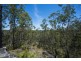 767 COALDALE ROAD, Fortis Creek NSW 2460