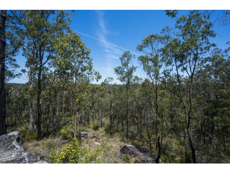 767 COALDALE ROAD, Fortis Creek NSW 2460