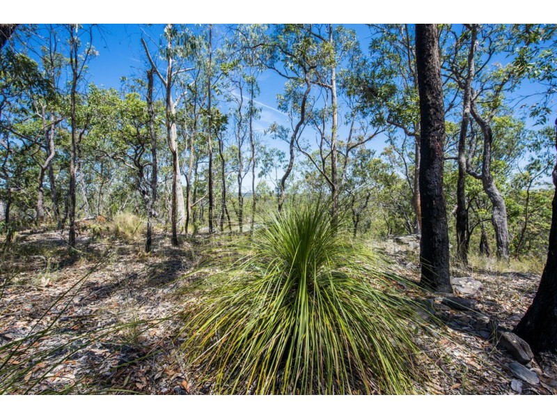 767 COALDALE ROAD, Fortis Creek NSW 2460