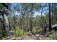 767 COALDALE ROAD, Fortis Creek NSW 2460