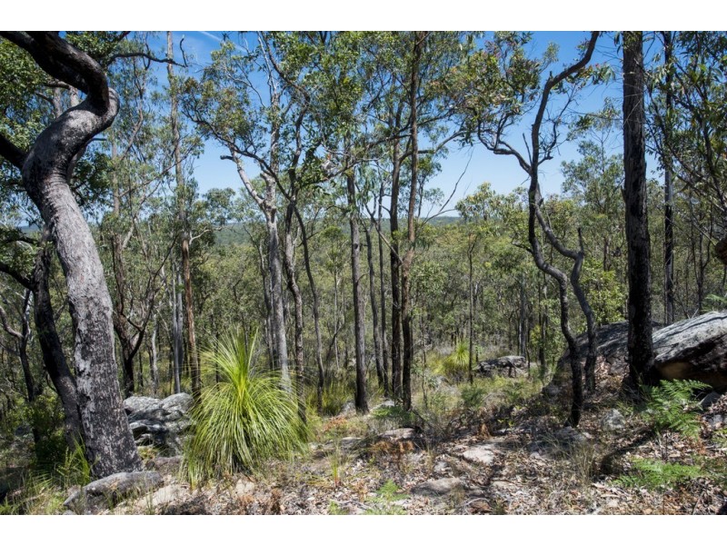 767 COALDALE ROAD, Fortis Creek NSW 2460