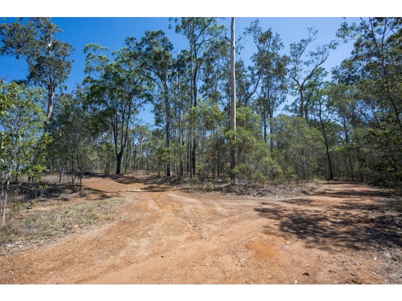 767 COALDALE ROAD, Fortis Creek NSW 2460