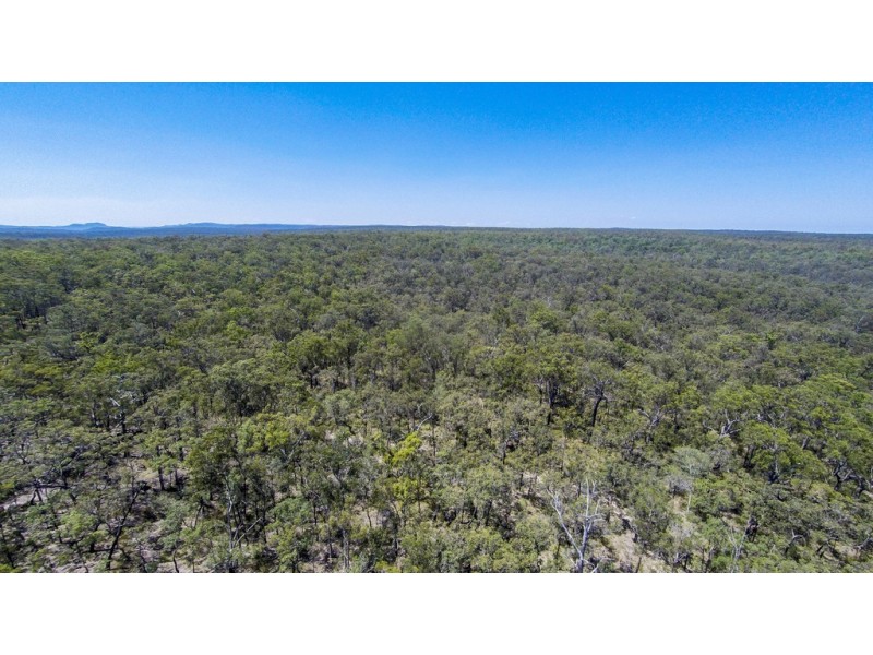 767 COALDALE ROAD, Fortis Creek NSW 2460