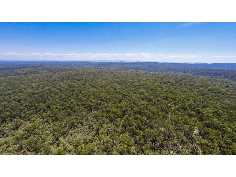 767 COALDALE ROAD, Fortis Creek NSW 2460