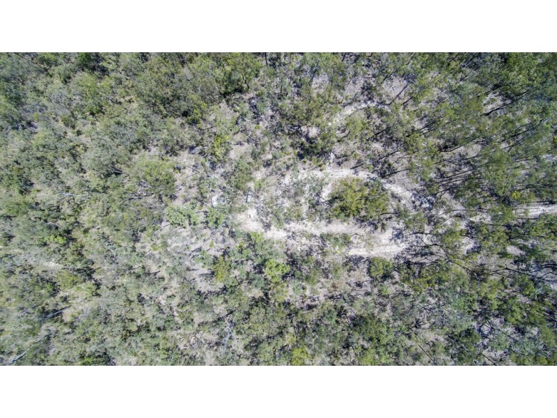 767 COALDALE ROAD, Fortis Creek NSW 2460