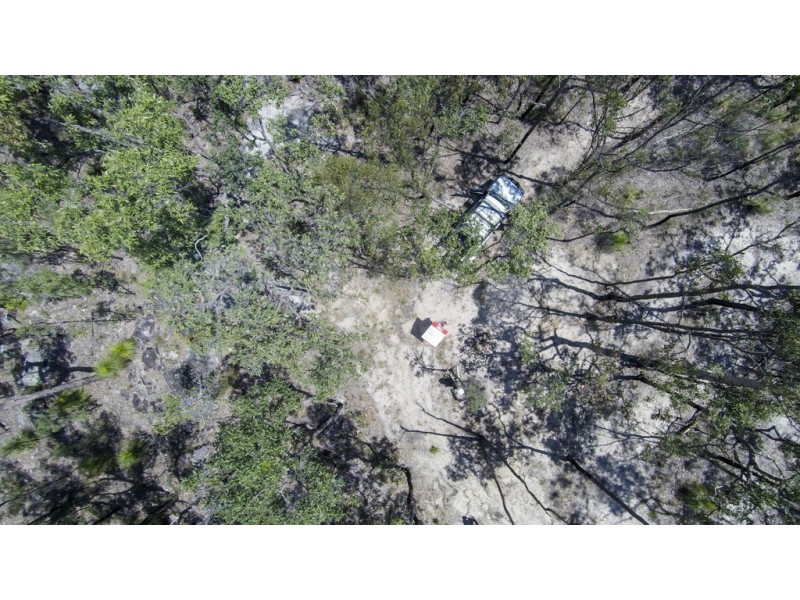 767 COALDALE ROAD, Fortis Creek NSW 2460