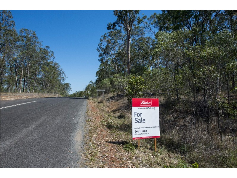 767 COALDALE ROAD, Fortis Creek NSW 2460
