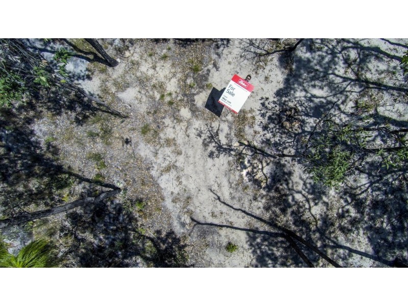 767 COALDALE ROAD, Fortis Creek NSW 2460