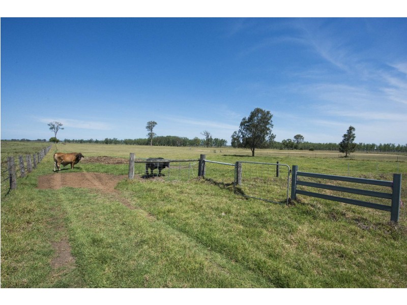 324 Lawrence Road, Alumy Creek NSW 2460