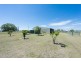 .324 Lawrence Road, Alumy Creek NSW 2460