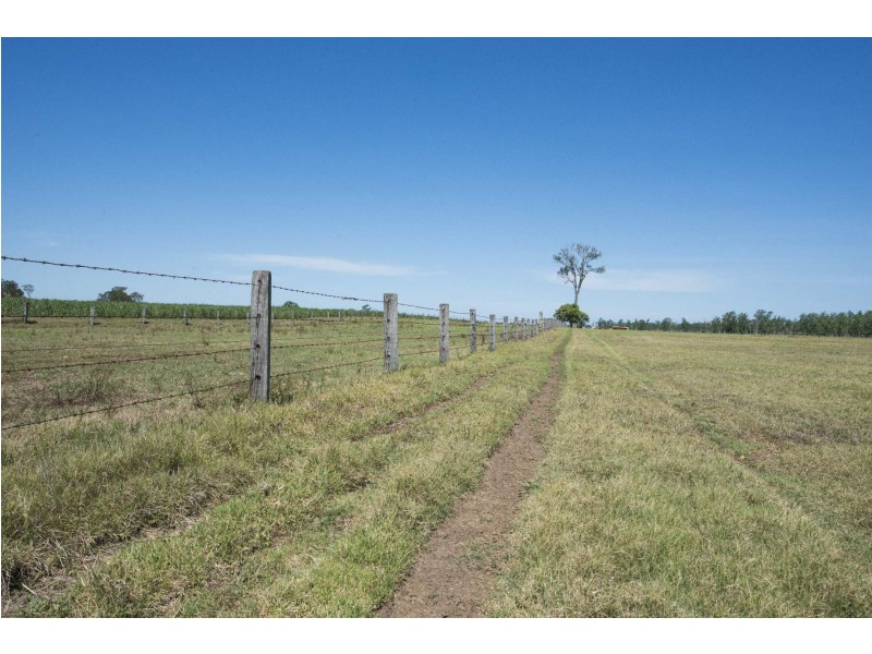 .324 Lawrence Road, Alumy Creek NSW 2460