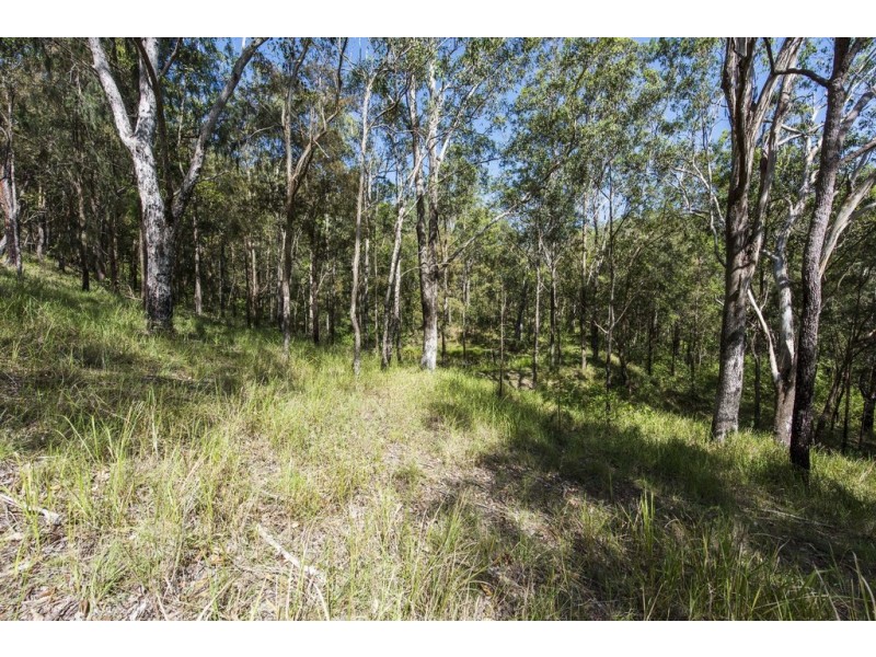 Lot 36 Gwydir Highway, Cangai NSW 2460