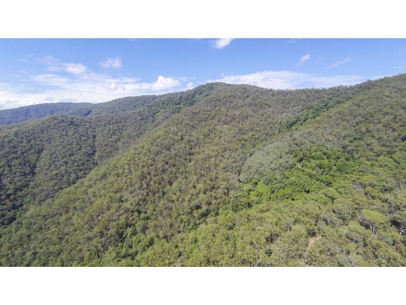 Lot 36 Gwydir Highway, Cangai NSW 2460