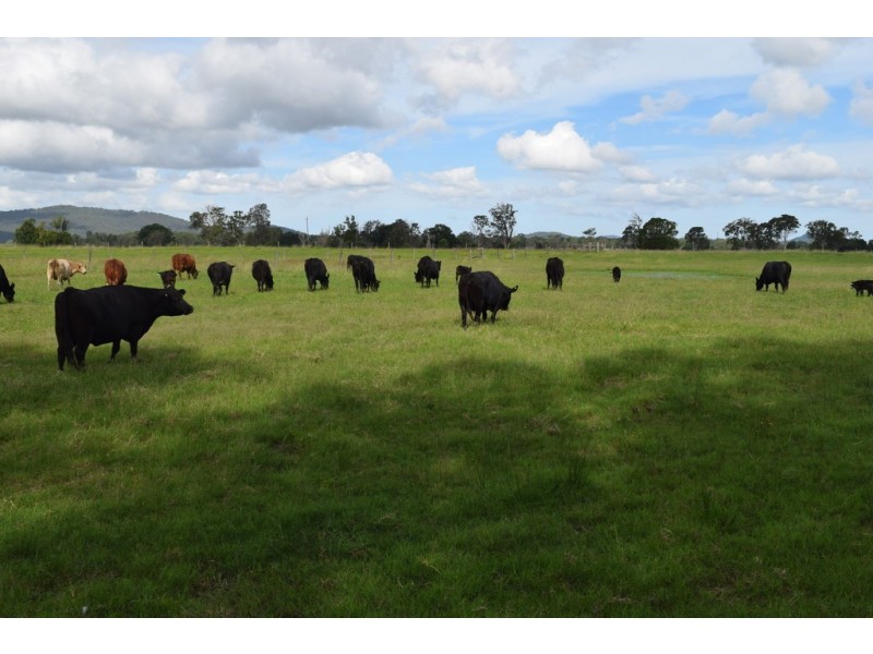 Lot 225 Lower Coldstream Road, Calliope NSW 2462