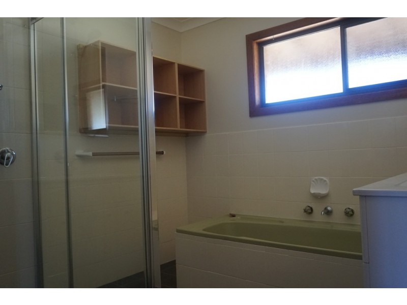 386 SHANNONDALE ROAD, Shannondale NSW 2460