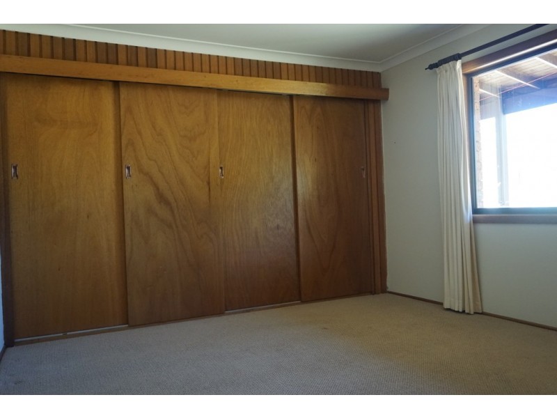 386 SHANNONDALE ROAD, Shannondale NSW 2460