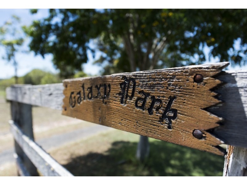 21 Zietsch Close, Warragai Creek NSW 2460