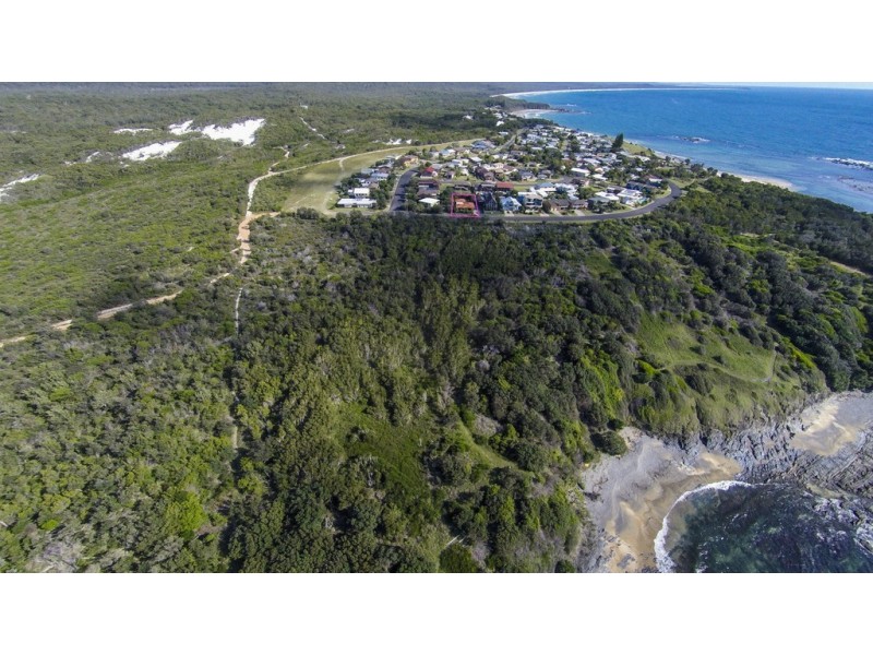 1 Grevillia Parade, Minnie Water NSW 2462