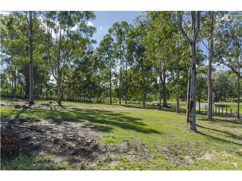 131 ROGAN BRIDGE ROAD, Waterview Heights NSW 2460