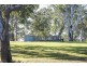 29 Clearview Road, Coutts Crossing NSW 2460