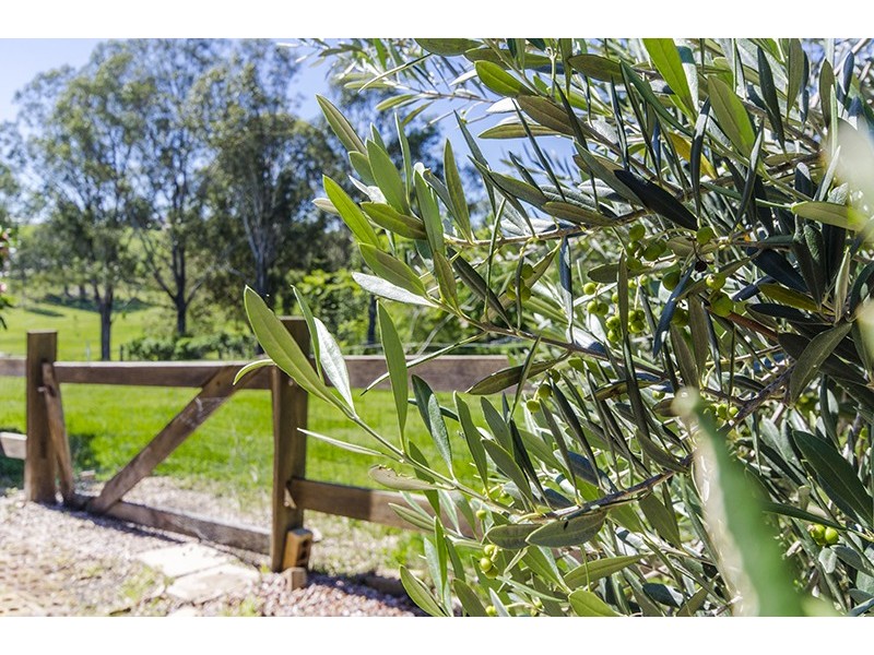 4 Daniels Close, South Grafton NSW 2460