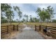 332 Whiteman Creek Road, Mylneford NSW 2460