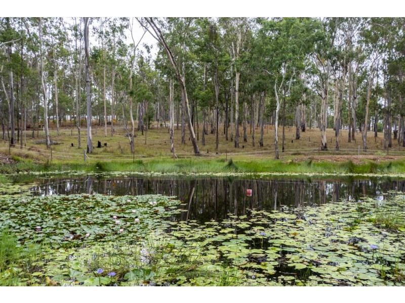 332 Whiteman Creek Road, Mylneford NSW 2460