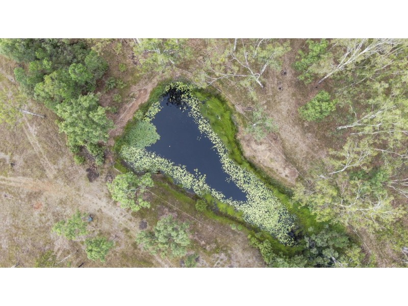 332 Whiteman Creek Road, Mylneford NSW 2460