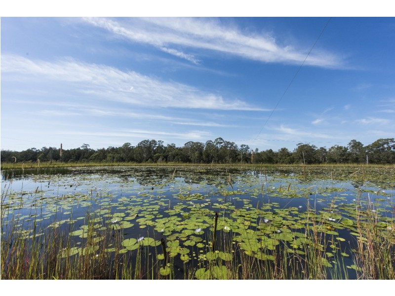 .3222 Orara Way, Glenreagh NSW 2450