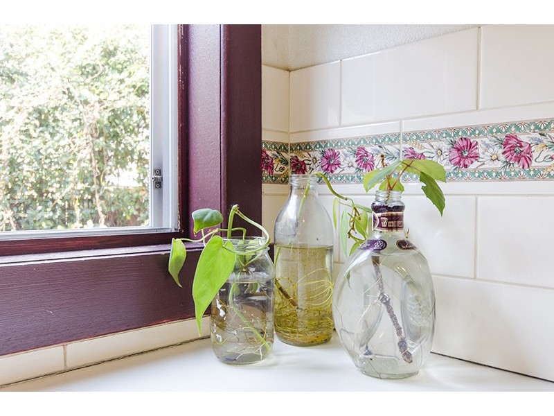 174 Fitzroy Street, Grafton NSW 2460