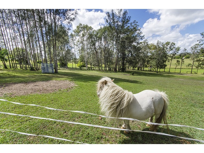 22 Swan Hill Drive, Waterview Heights NSW 2460