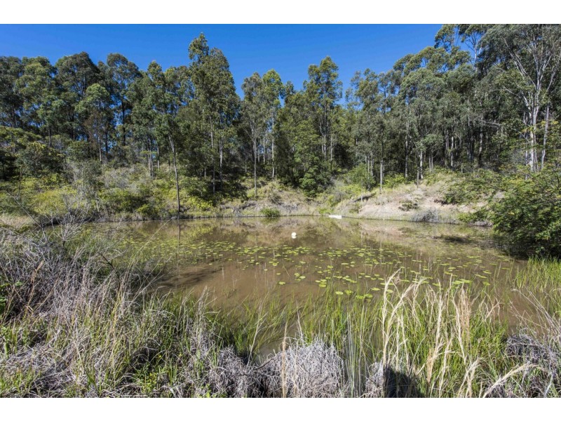 692 Firth Heinz Road, Pillar Valley NSW 2462