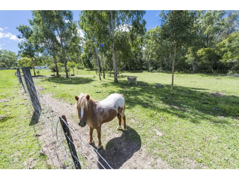 3568 ORARA WAY, Kremnos NSW 2460