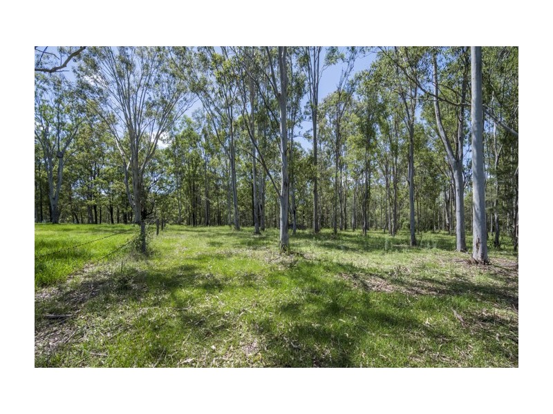 Lot 3 Lower Kangaroo Creek Road, Coutts Crossing NSW 2460