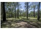 Lot 3 Lower Kangaroo Creek Road, Coutts Crossing NSW 2460