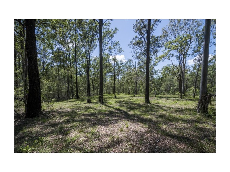 Lot 3 Lower Kangaroo Creek Road, Coutts Crossing NSW 2460