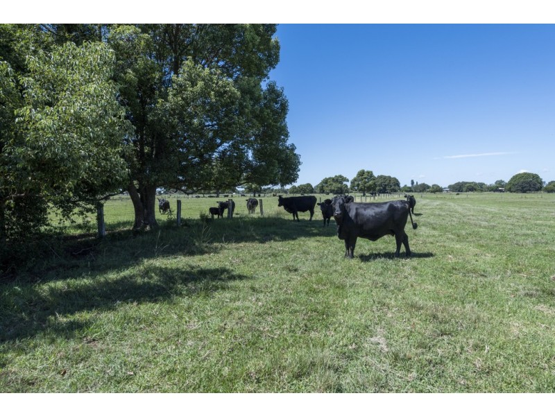 Lots 19-20 Earl Street, Carrs Creek NSW 2460