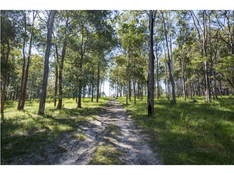 64 Sanders Road, Whiteman Creek NSW 2460