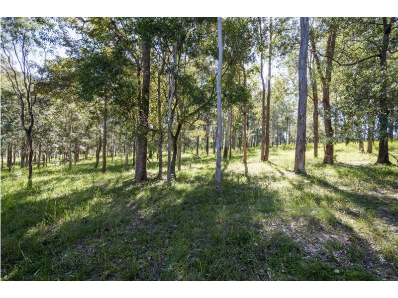 64 Sanders Road, Whiteman Creek NSW 2460