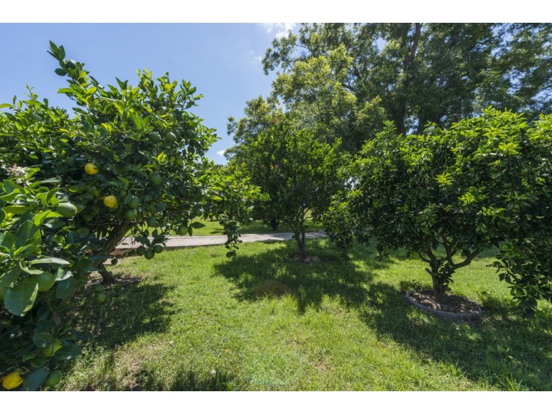 66 MCHUGH STREET, Grafton NSW 2460