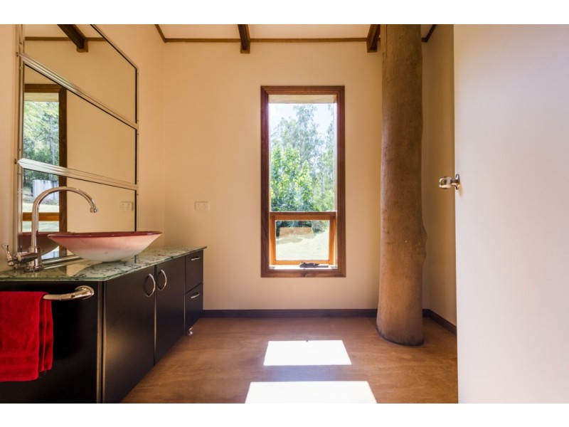 100 Frickers Road, Nymboida NSW 2460