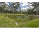 229 Mylneford Road, Mylneford NSW 2460